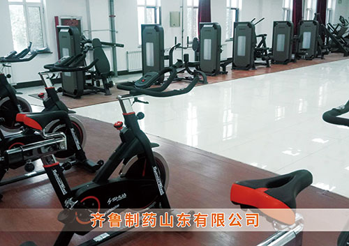 ?熊猫体育官方网站體育為齊魯制藥呼和浩特分公司打造健身房